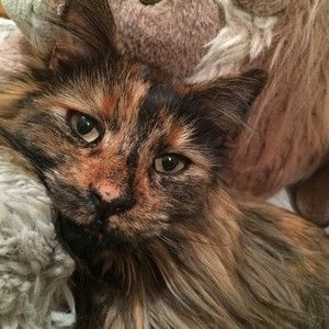 Meet your Posher, Catherine